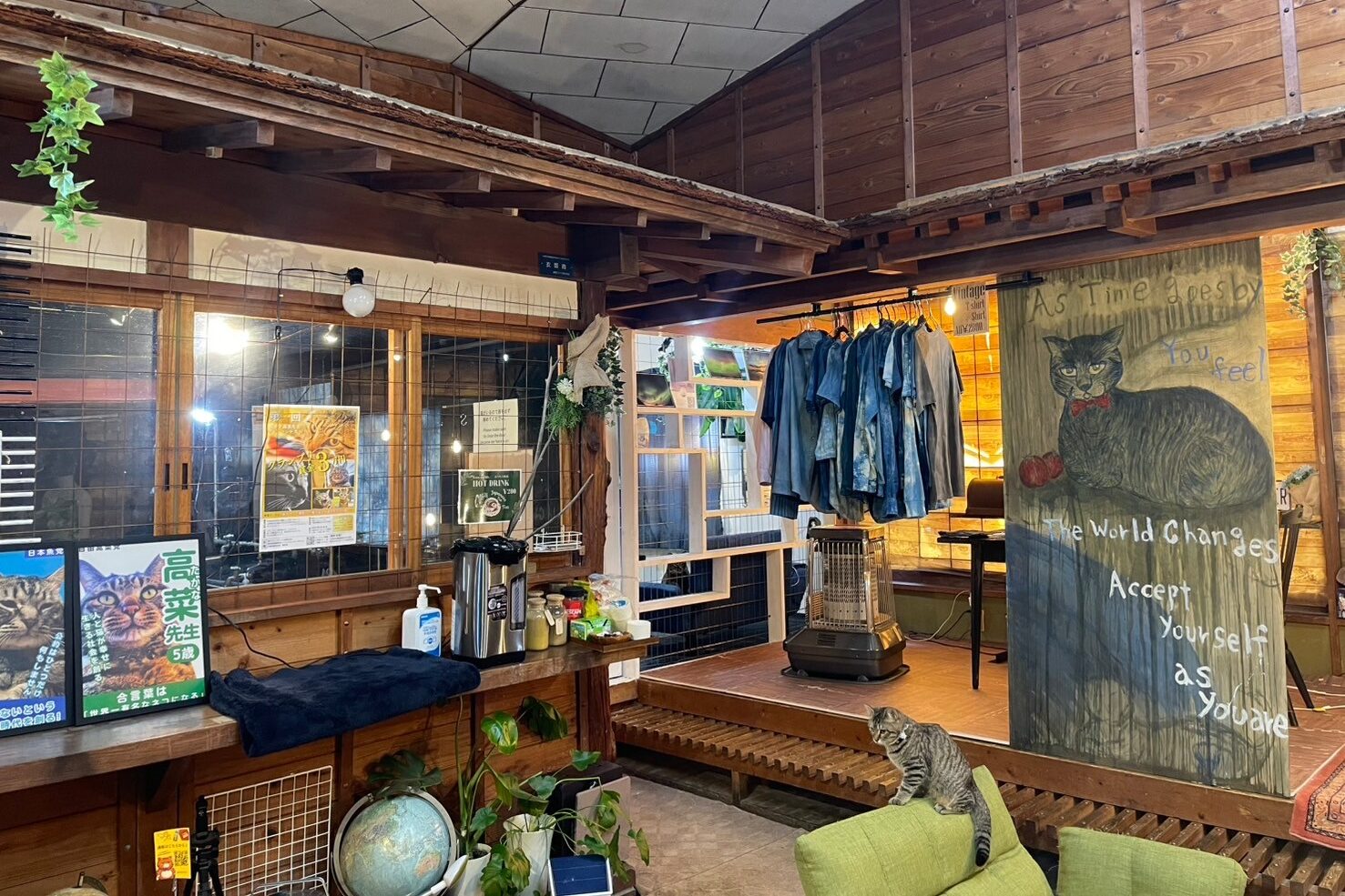 猫カフェ河口湖